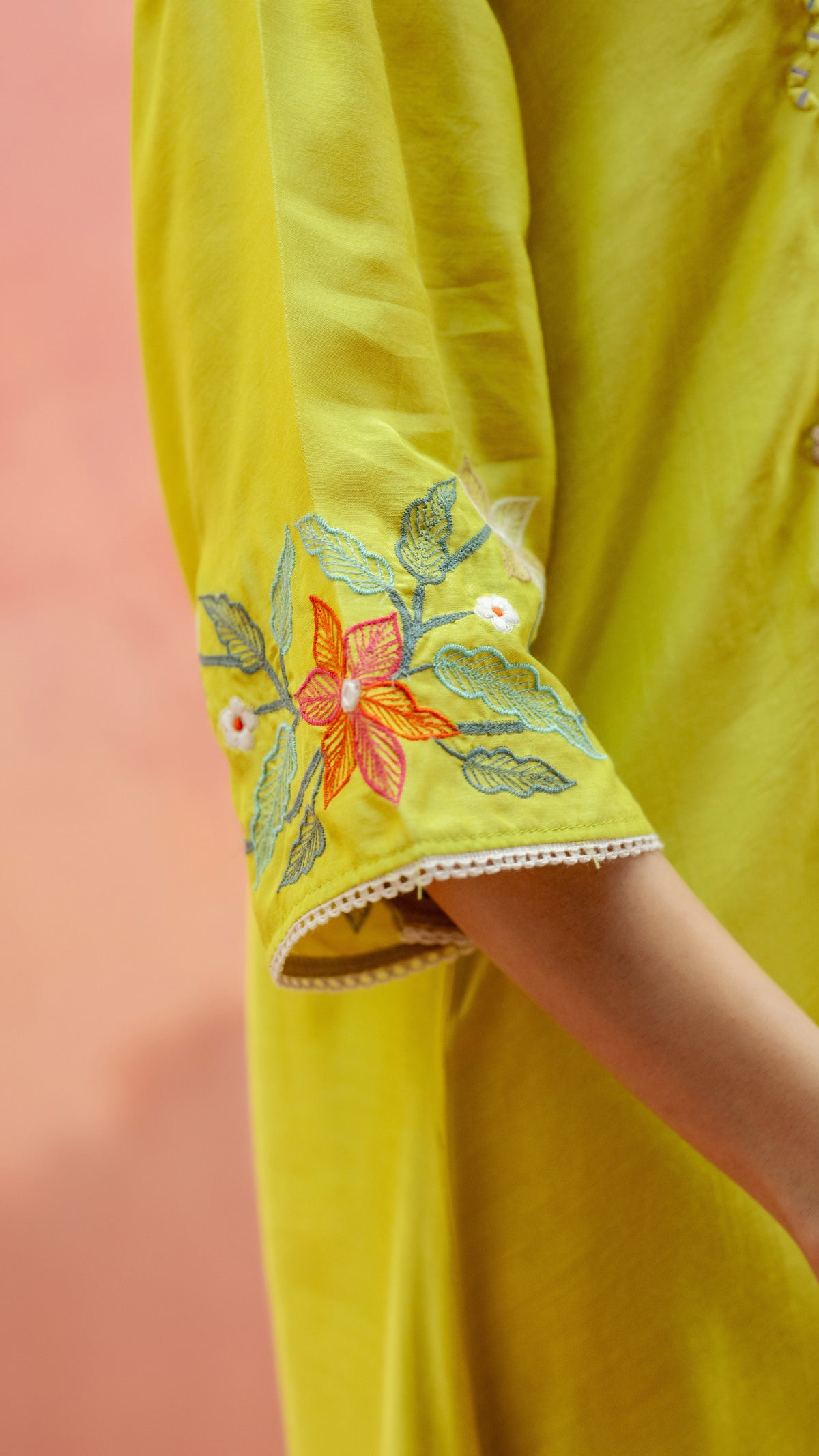 Color_Yellow Green