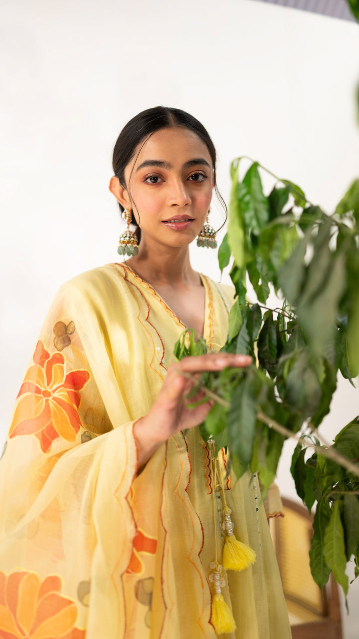 Zoya Anarkali Set