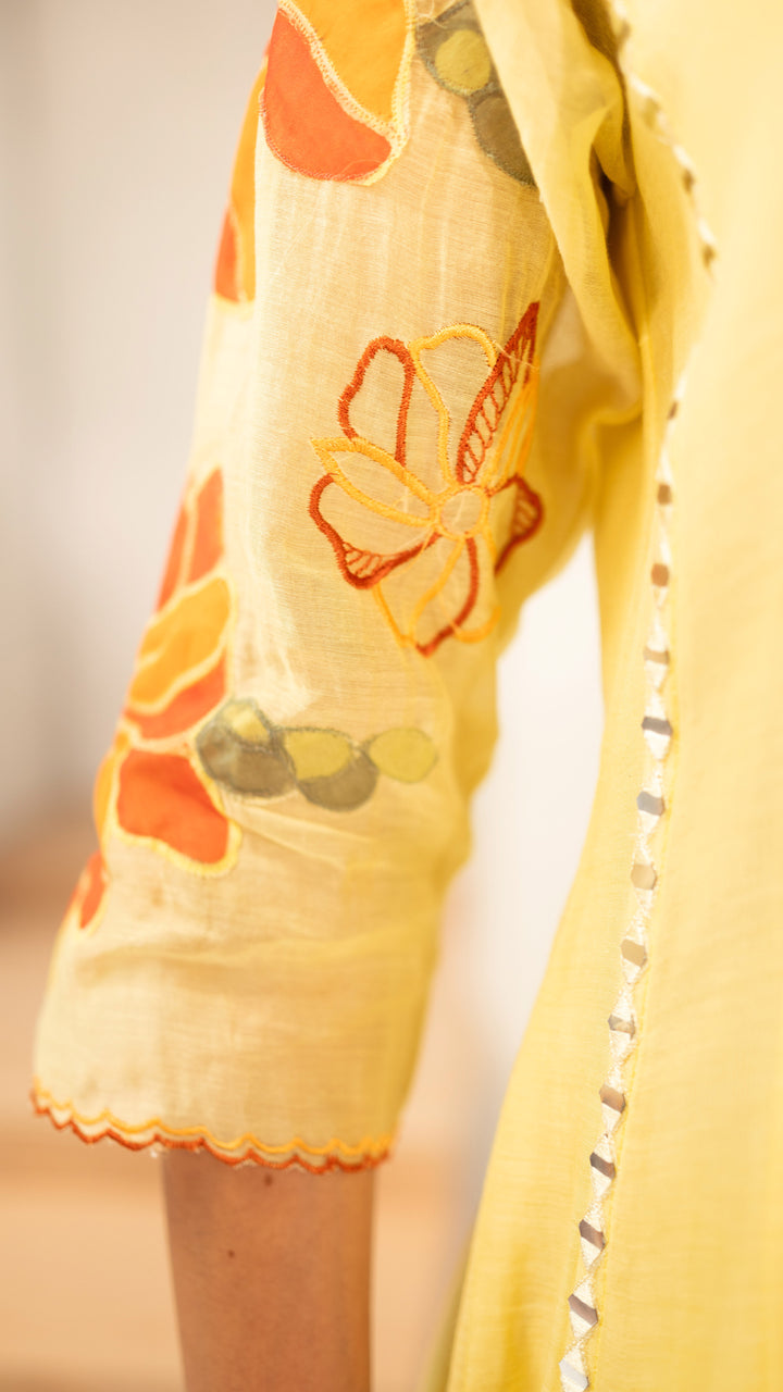 Zoya Anarkali Set