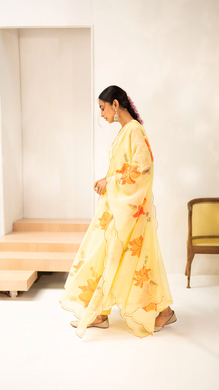 Zoya Anarkali Set