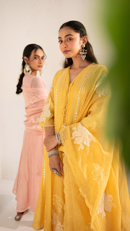Zara Anarkali Set
