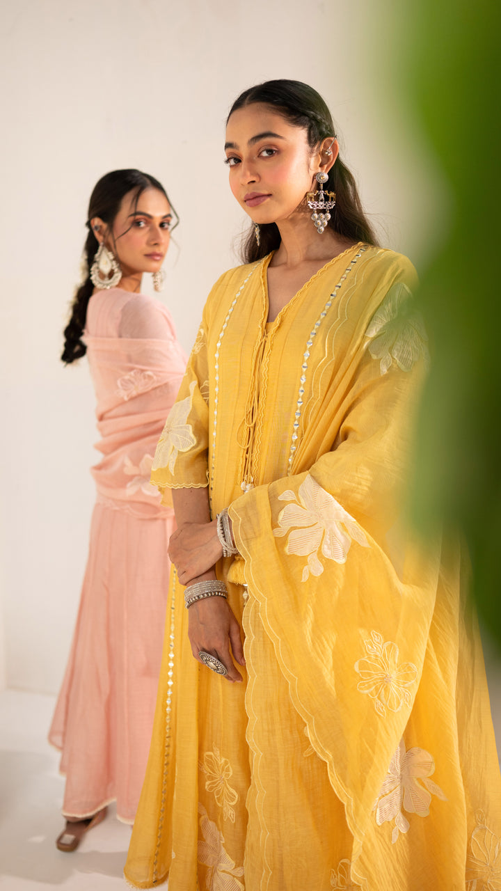 Zara Anarkali Set