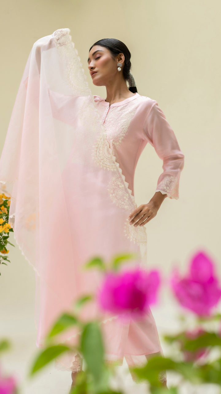Fiza Kurta Set (Pastel Pink)