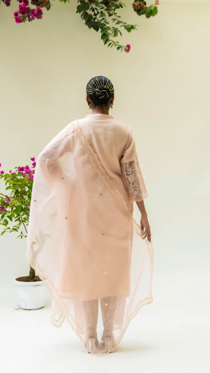 Reverse Applique Kurta Set (Nude)