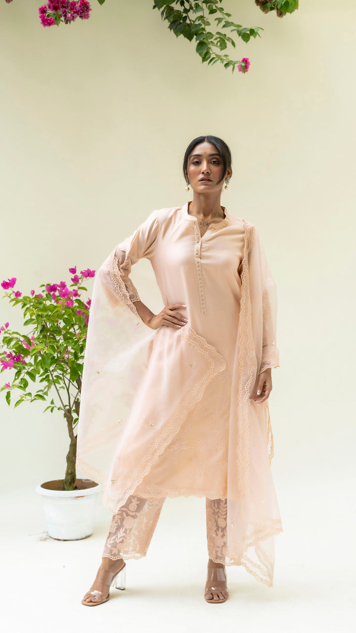 Reverse Applique Kurta Set (Nude)