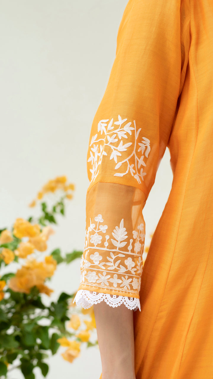 Parchhai Anarkali Set (Burnt Orange)