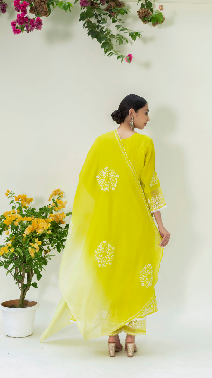Parchhai Anarkali Set (Lime Green)
