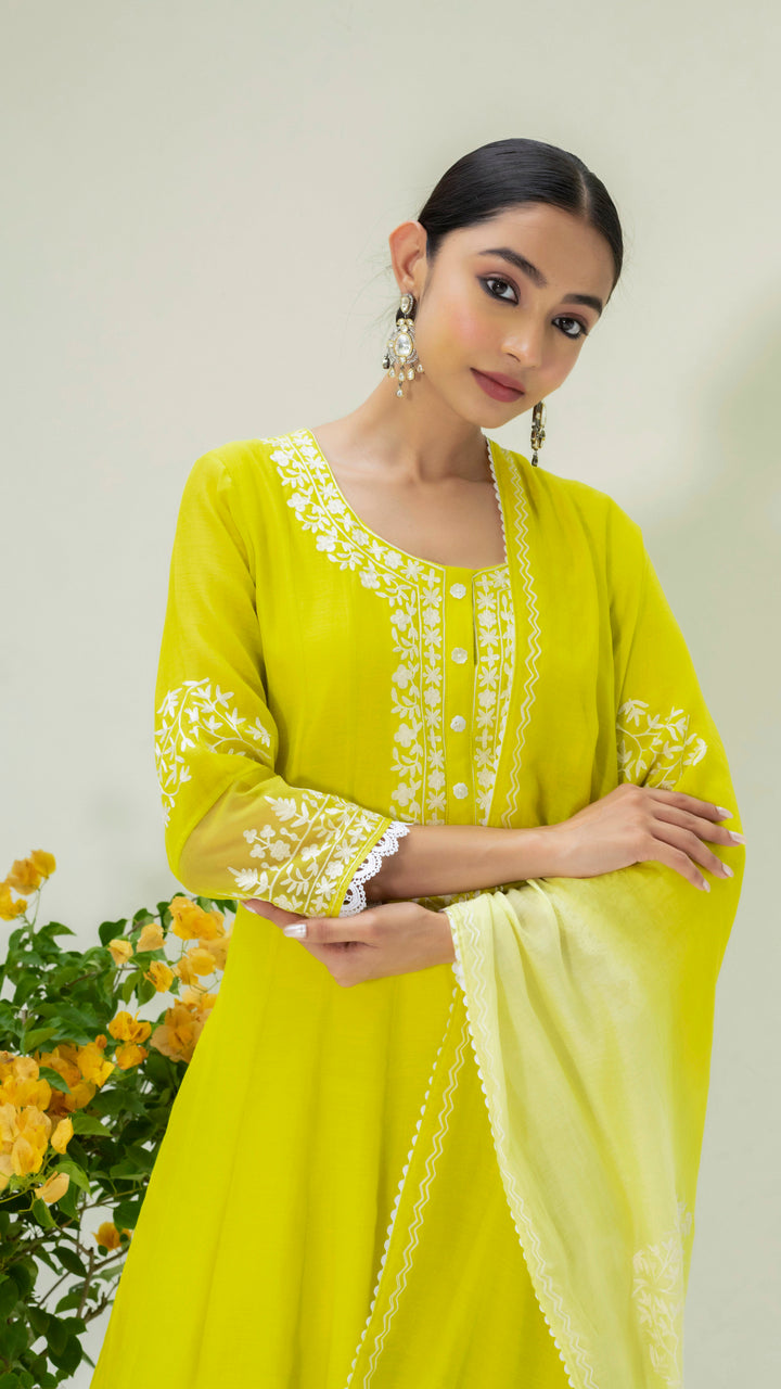 Parchhai Anarkali Set (Lime Green)