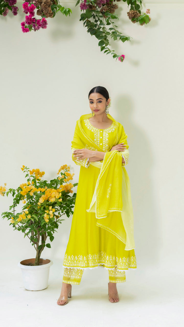Parchhai Anarkali Set (Lime Green)