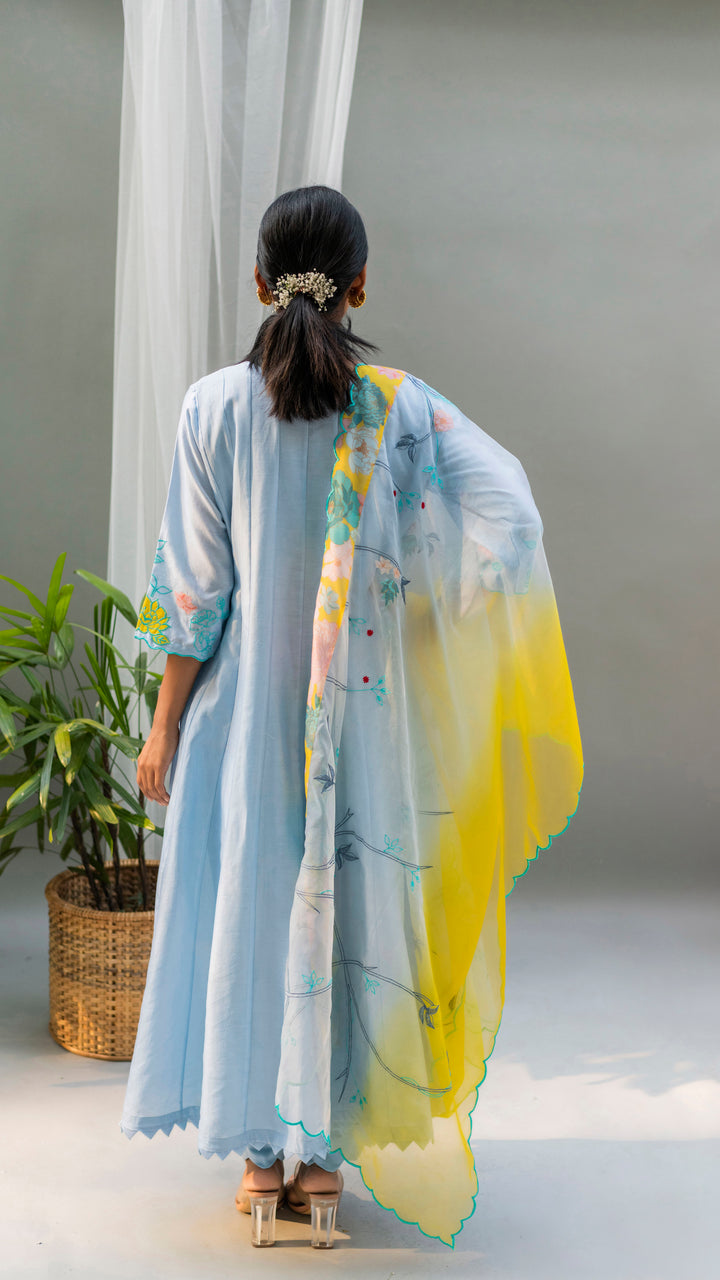 Floral Applique Anarkali Set (Sky Blue)