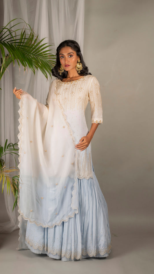 Jasmine Sharara Set ( Baby Blue)