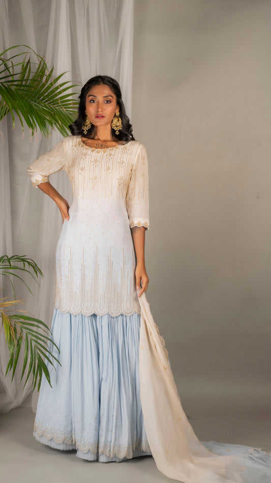 Jasmine Sharara Set ( Baby Blue)